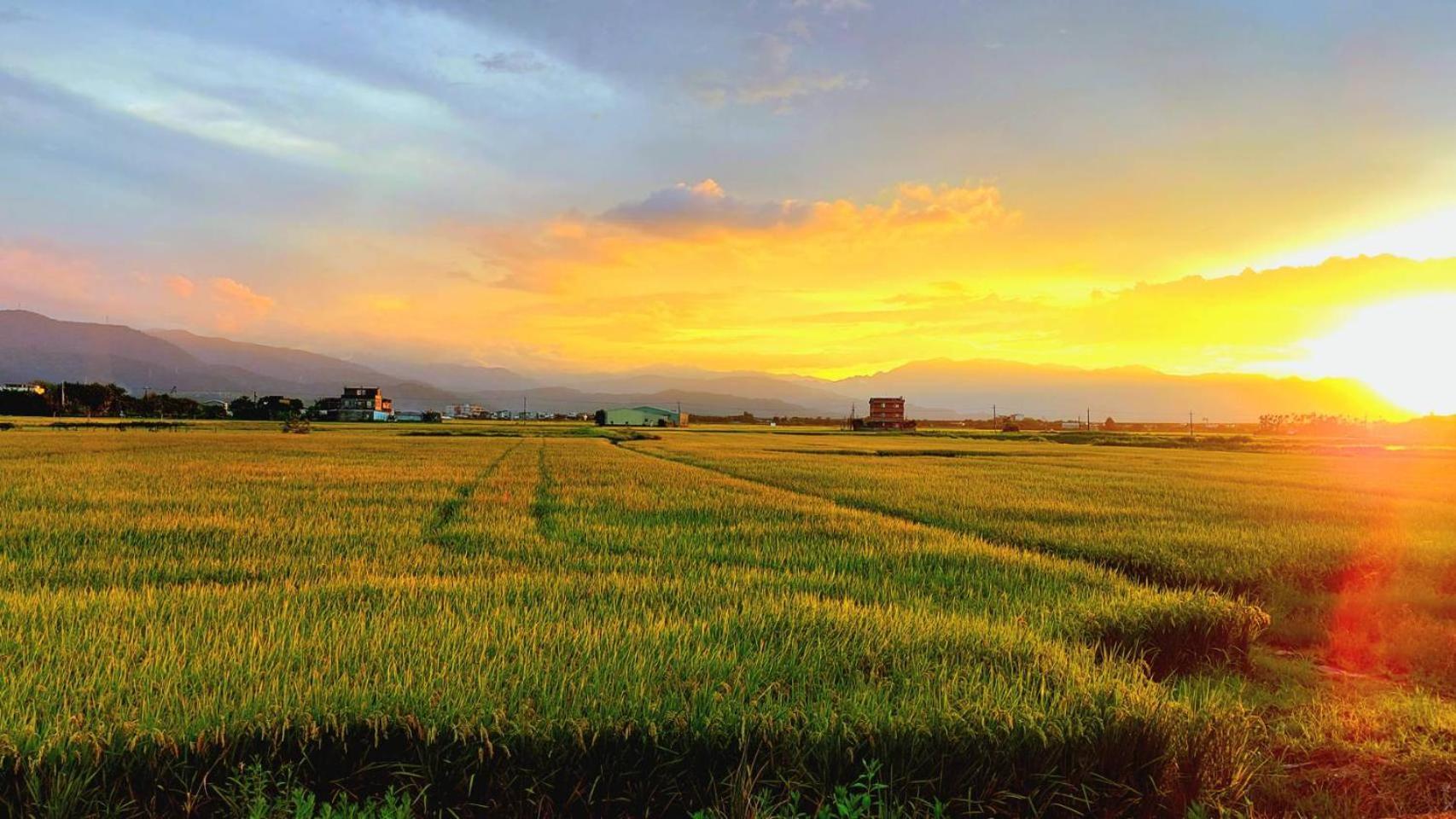 Near Bnb II Wujie Buitenkant foto