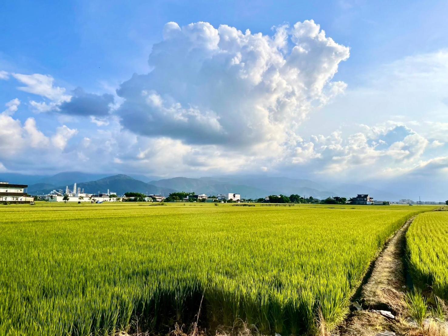 Near Bnb II Wujie Buitenkant foto